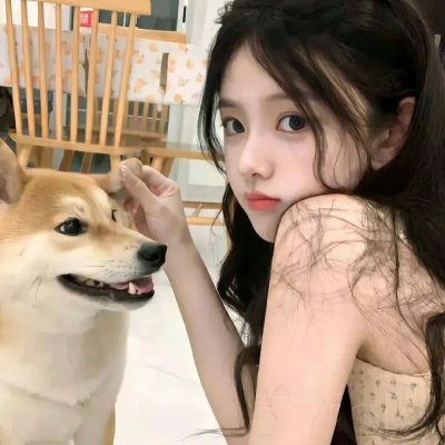 帮帮我托德第二季