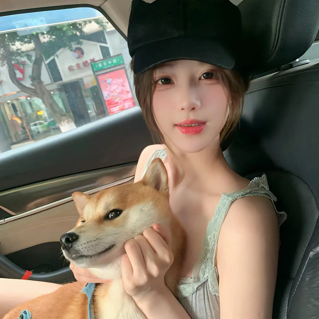 波普先生的企鹅